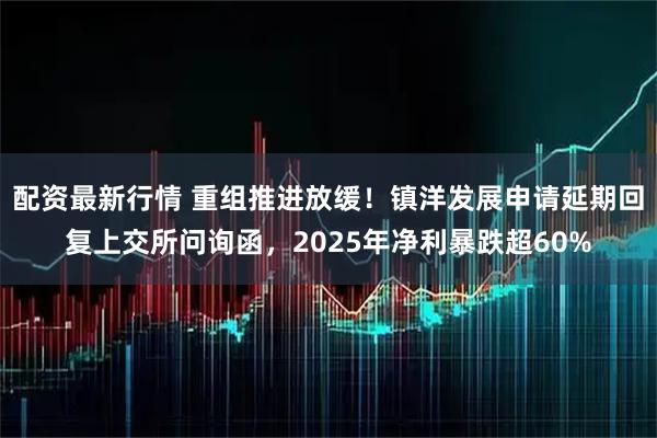 配资最新行情 重组推进放缓！镇洋发展申请延期回复上交所问询函，2025年净利暴跌超60%