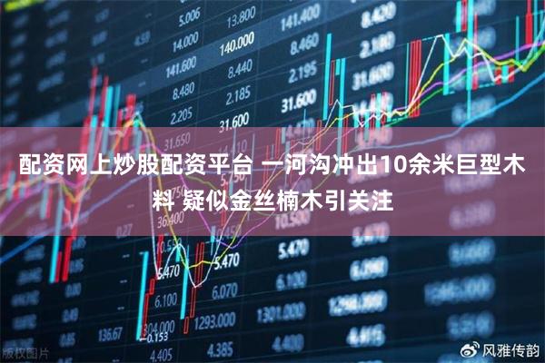 配资网上炒股配资平台 一河沟冲出10余米巨型木料 疑似金丝楠木引关注